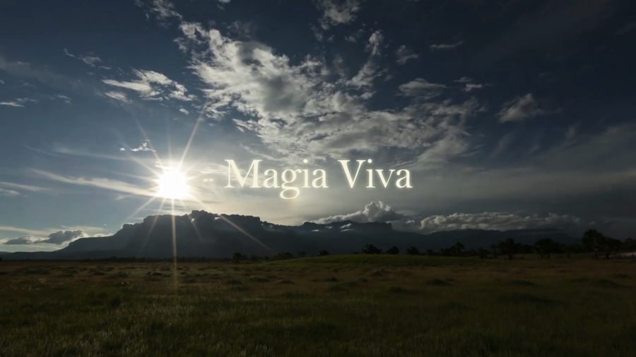 Lee más sobre el artículo Magia Viva </br></br> Proyecto desarrollado por Radharani Gómez